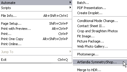 The Artlandia SymmetryShop menu option