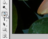 Pen tool Pen tool