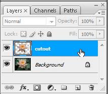 New layer New layer