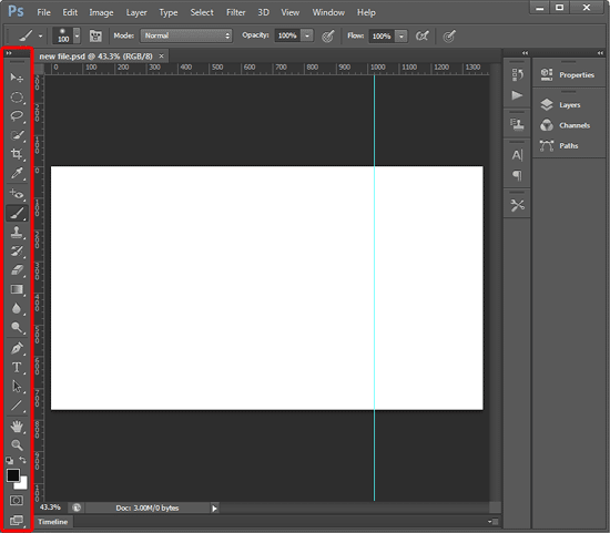 Blank document opened within Photoshop Blank document opened within Photoshop