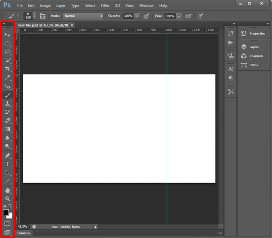 Blank document opened within Photoshop