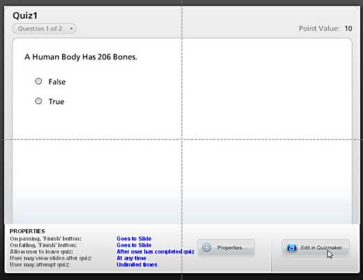 Articulate Quizmaker '09 placeholder in PowerPoint Articulate Quizmaker '09 placeholder in PowerPoint