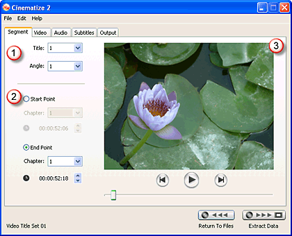 Main Interface