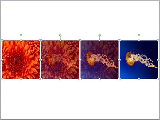 Shapes with blended picture fills Shapes with blended picture fills