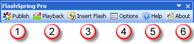 FlashSpring Pro Options
