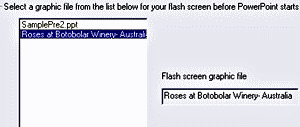 Choose a flash graphic