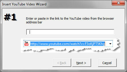 Paste YouTube video URL into YouTube Wizard for PowerPoint