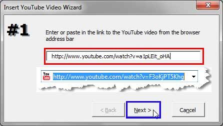 YouTube video URL pasted within the Insert YouTube Video Wizard dialog box