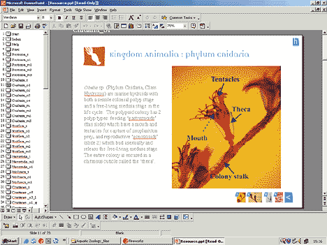 Resources are only ever viewed on an individual computer