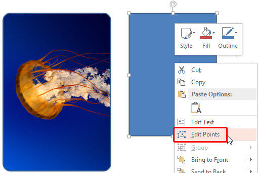 Edit Points option Edit Points option