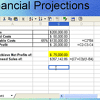 Excel Content in PowerPoint 2007, 2003, and 2002 for Windows