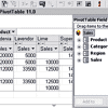 PivotTables in PowerPoint