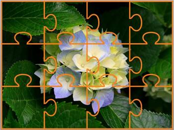 Learn PowerPoint 2011 for Mac: Puzzle Pictures