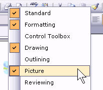 Show the Picture toolbar Show the Picture toolbar