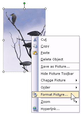 Format Picture in Publisher Format Picture in Publisher
