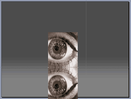 The reflected picture below the original one