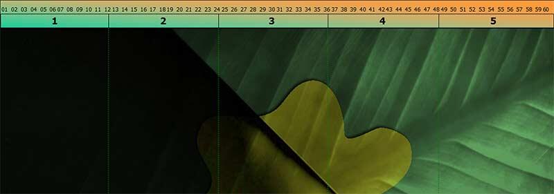 The segmented bar at the top of the slide represents time