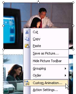 Choose the Custom Animation option