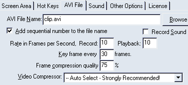 AVI File