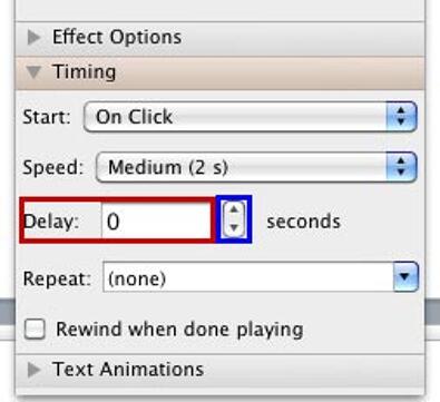 Delay option within the Timing pane