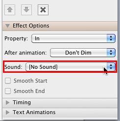 Sound option within Effect Options pane