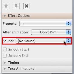 Sound option within Effect Options pane Sound option within Effect Options pane