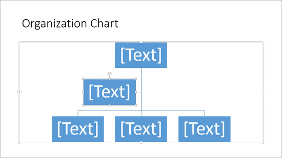 Organization Chart