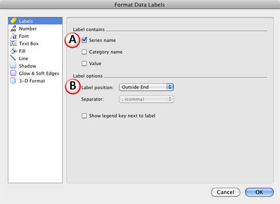 Format Data Labels dialog box Format Data Labels dialog box