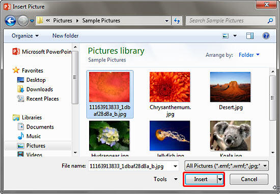 Insert Picture dialog box