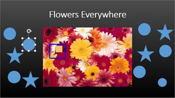 Eyedropper Option in PowerPoint 2016 for Windows