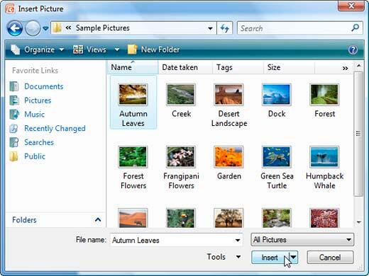 Insert Picture dialog box Insert Picture dialog box