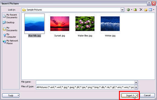 Insert Picture dialog box