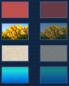 Learn PowerPoint 2013 for Windows: Transparency for Shape Fills