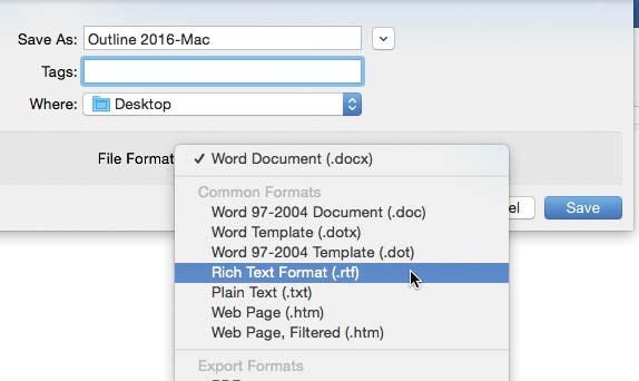 Rich Text Format option selected