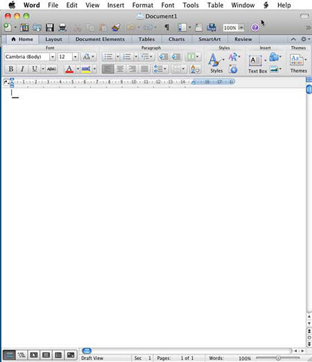 Word 2011 document