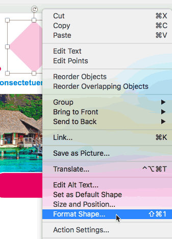 Format Shape option