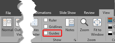 Guides check-box not selected