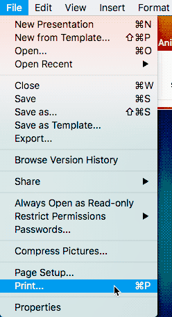 Print option in File menu