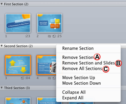 Options to remove the selected Section Options to remove the selected Section