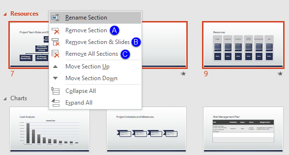 Options to remove the selected Section