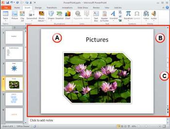 Learn PowerPoint 2010: Slide Area