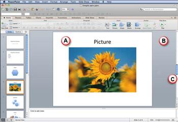 Learn PowerPoint 2011: Slide Area in PowerPoint for Mac