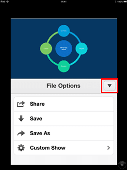 File Options - Indezine File Options