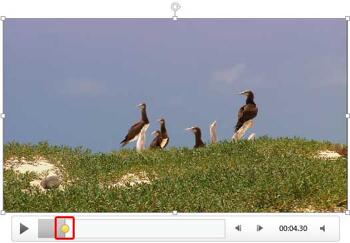Learn PowerPoint 2013 for Windows: Add Bookmarks to Video Clips