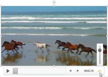 Learn PowerPoint 2013 for Windows: Advanced Video Options