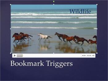 Learn PowerPoint 2010 for Windows: Animating Slide Objects While Media is Playing