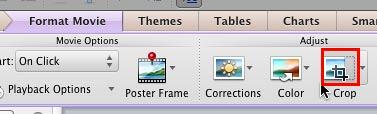Crop button within the Adjust group Crop button within the Adjust group
