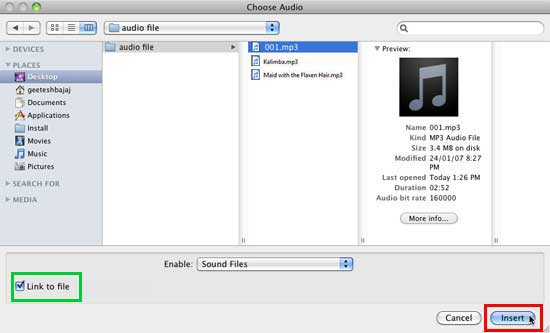 Choose Audio dialog box
