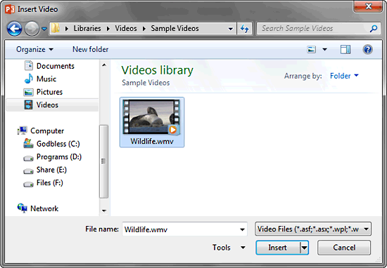 Insert Video dialog box