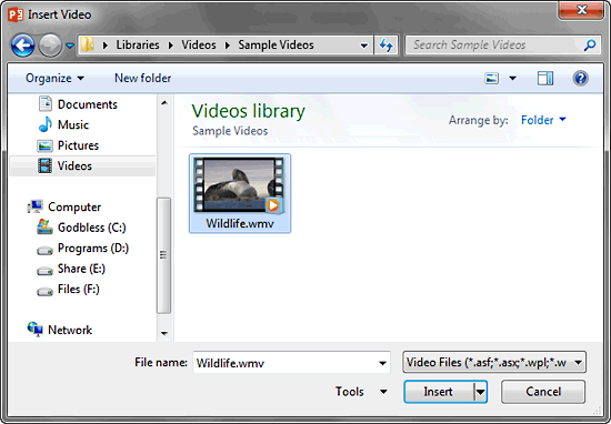 Insert Video dialog box Insert Video dialog box